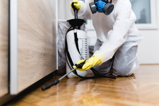 Best Emergency Pest Control  in Brookville, PA