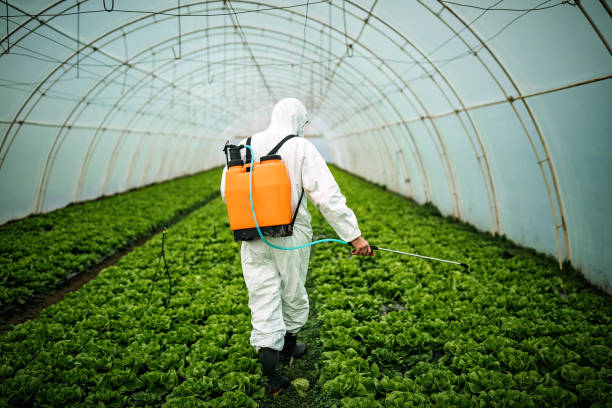 Best Pest Control for Restaurants  in Brookville, PA