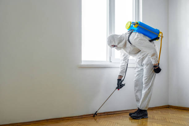 Trusted Brookville, PA Pest Control Experts