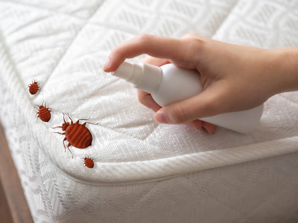 Best Best Pest Control Companies  in Brookville, PA
