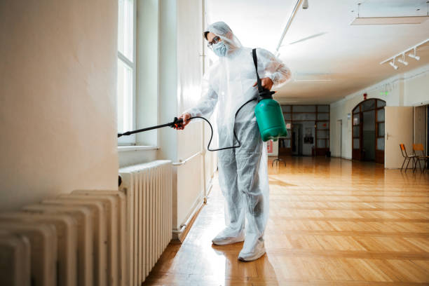 Professional Pest Control in Brookville, PA